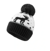 WOOLK TOQUE Arctic