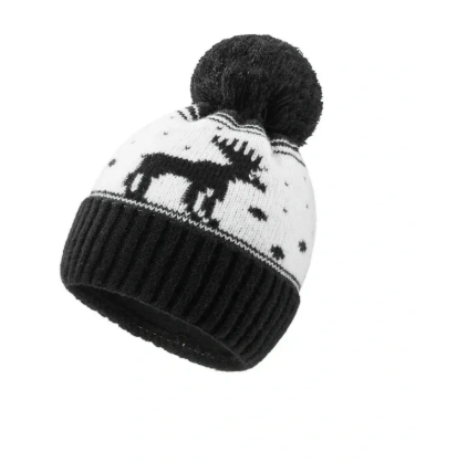 WOOLK TOQUE Arctic